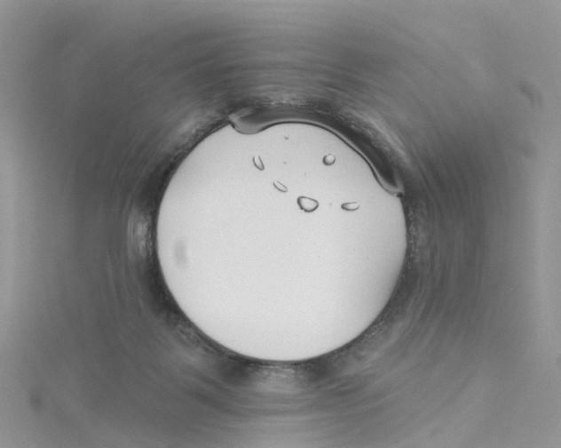 X0000114510123200911161303