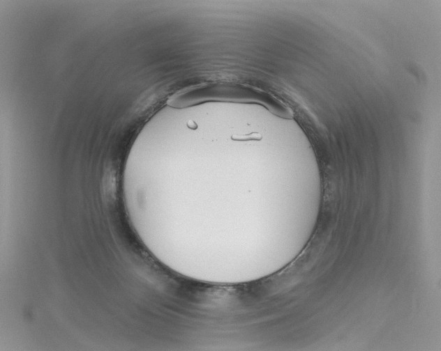 X0000114510124200911161303