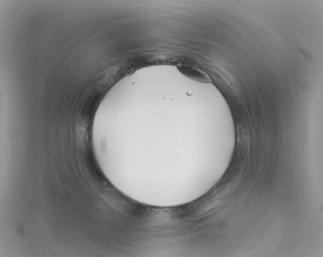 X0000114510127200911161303