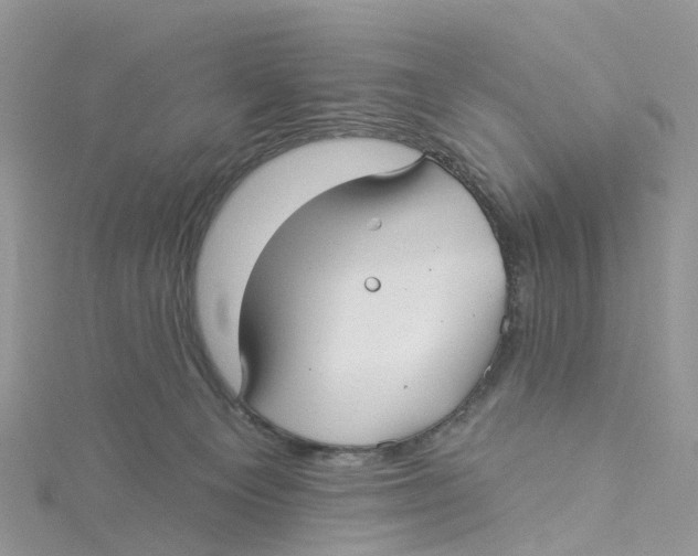 X0000114510129200911161303