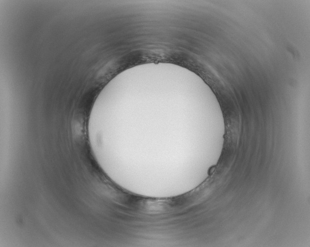 X0000114510134200911161303