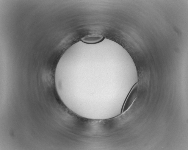 X0000114510136200911161303