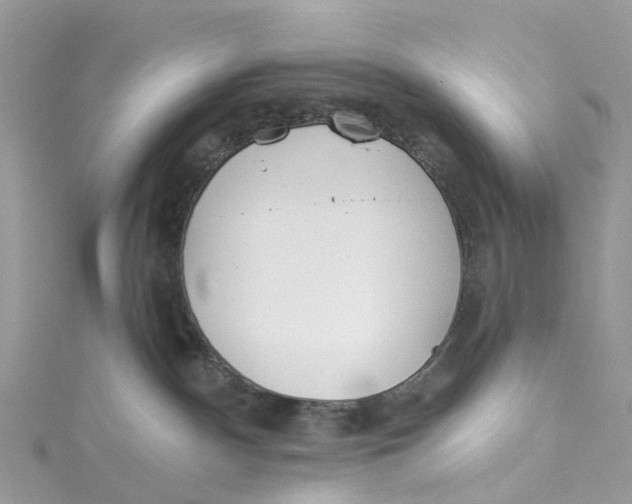 X0000114510140200911161303