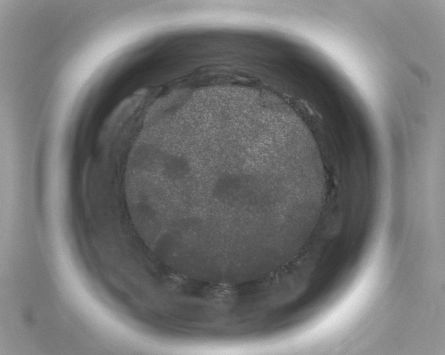 X0000114510143200911161303