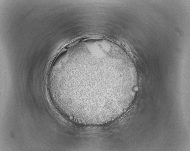 X0000114510145200911161302