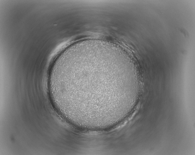 X0000114510149200911161302