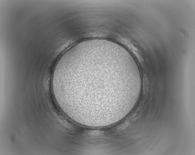 X0000114510153200911161302