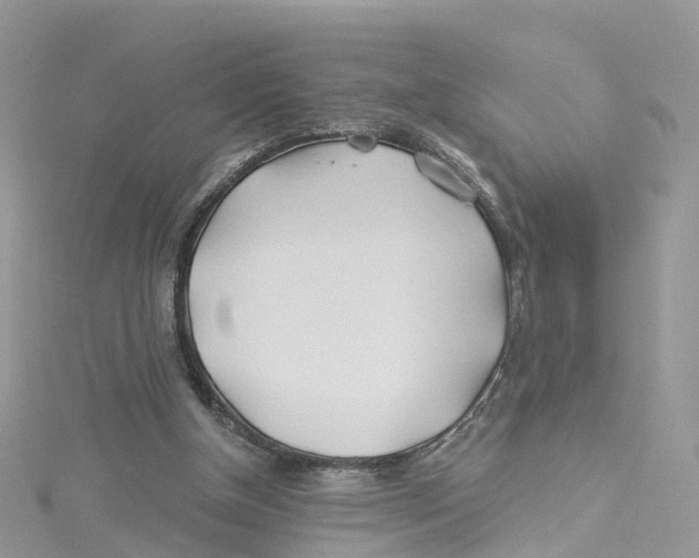 X0000114510154200911161302