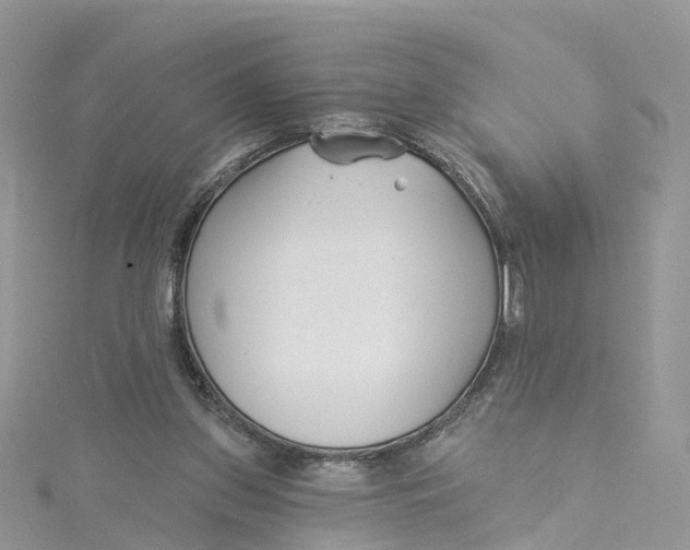 X0000114510157200911161302