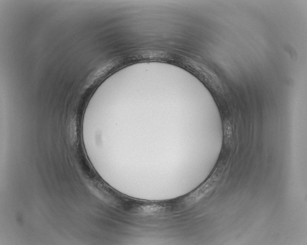 X0000114510158200911161302