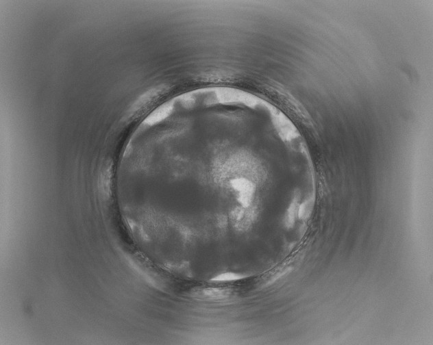 X0000114510163200911161302