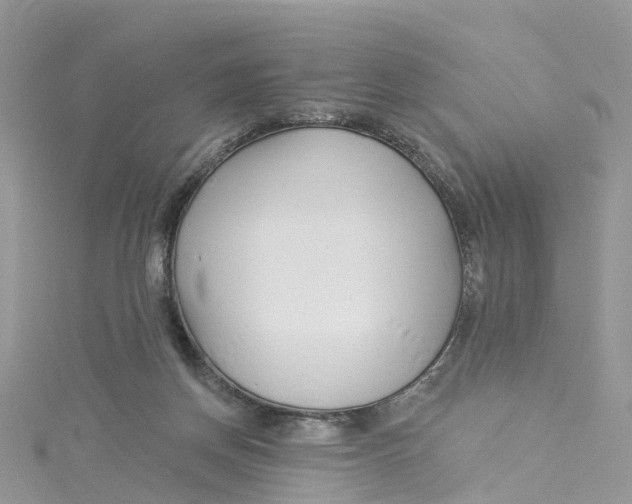 X0000114510166200911161302