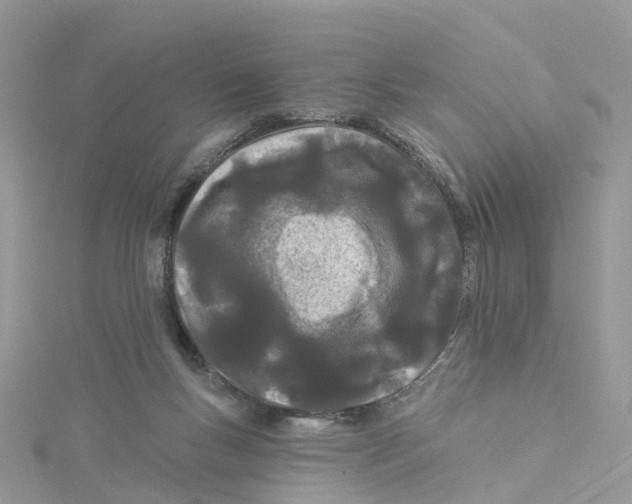 X0000114510167200911161302