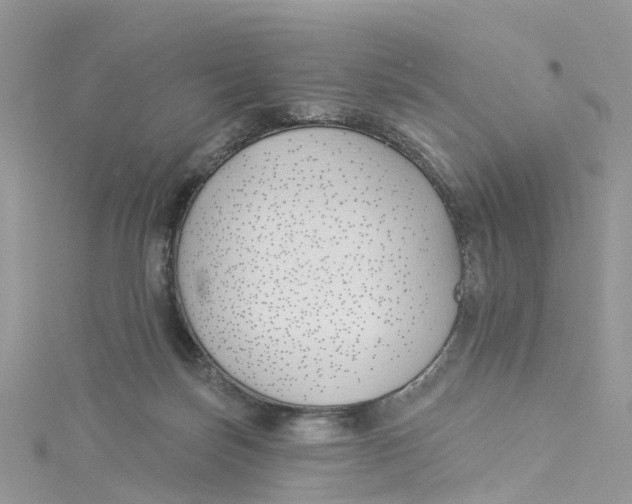 X0000114510171200911161302