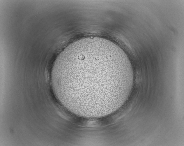 X0000114510173200911161302