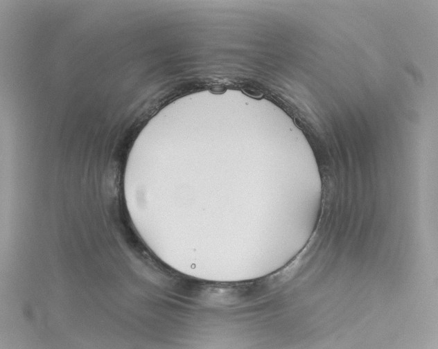 X0000114510174200911161303