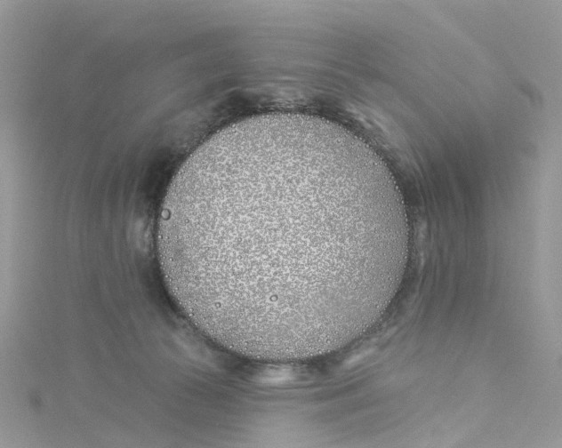 X0000114510177200911161303