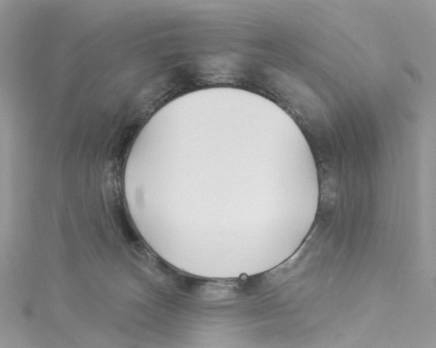 X0000114510179200911161303