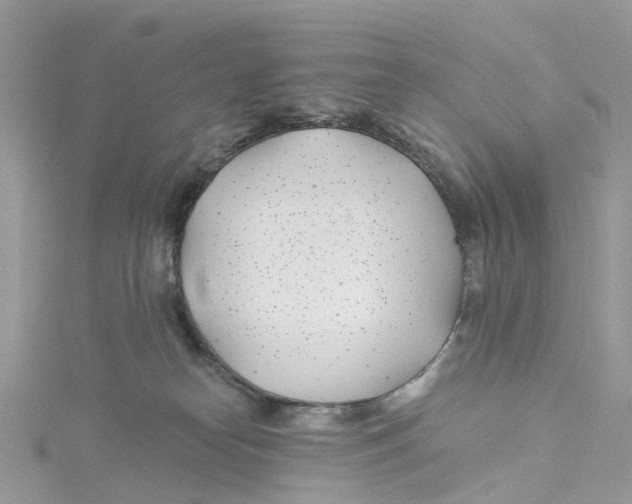 X0000114510182200911161303