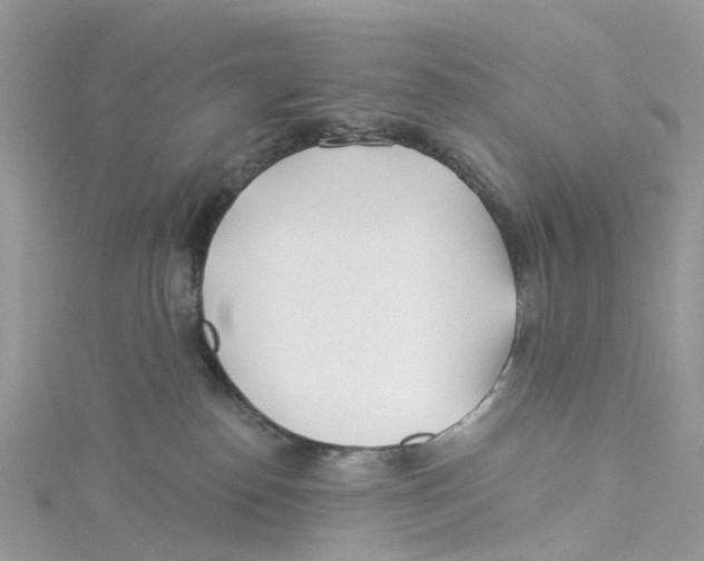 X0000114510186200911161303