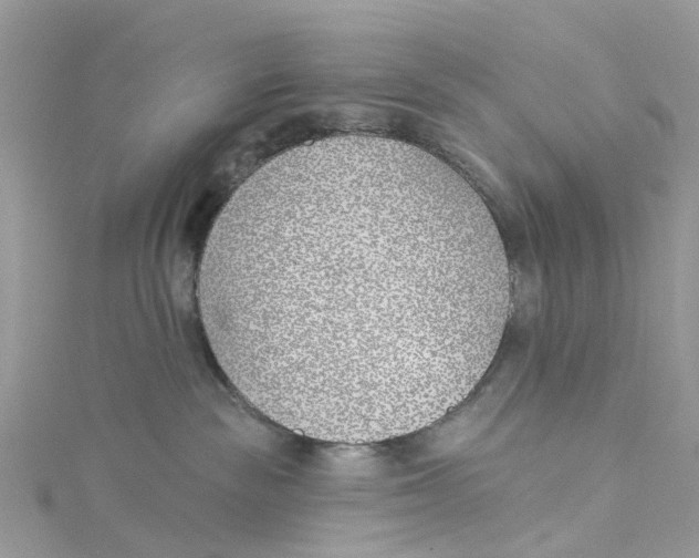 X0000114510189200911161303