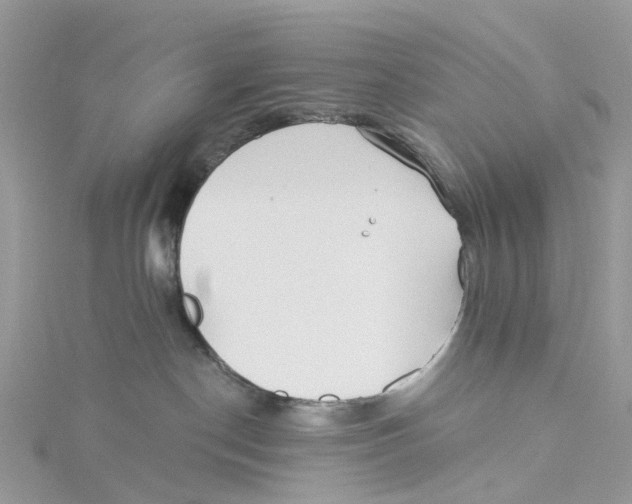 X0000114510190200911161303