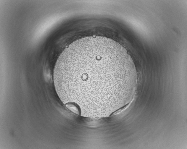 X0000114510191200911161303