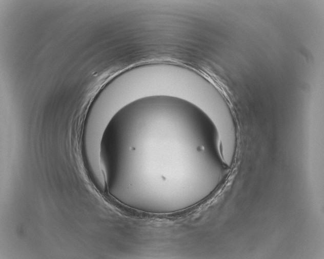 X0000114510193200911161302