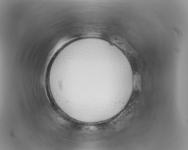 X0000114510195200911161302