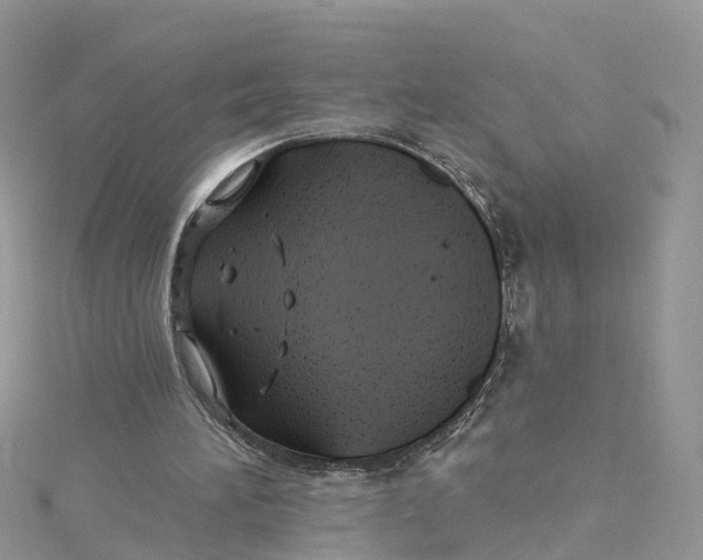 X0000114510196200911161302