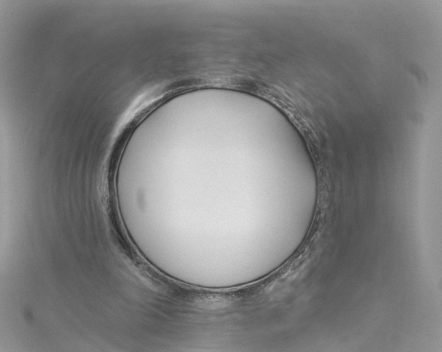 X0000114510198200911161302