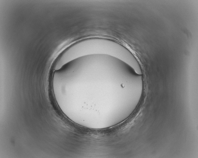 X0000114510199200911161302