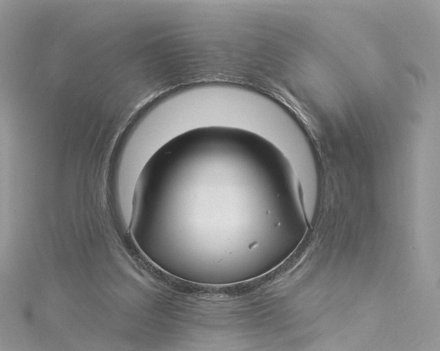 X0000114510203200911161302