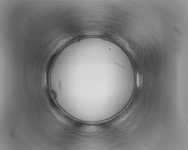 X0000114510205200911161302