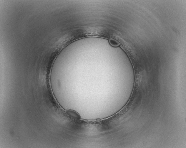 X0000114510209200911161302