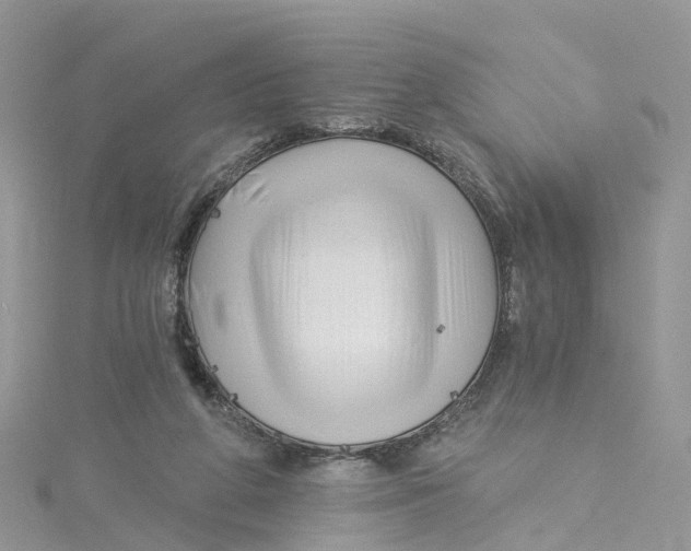 X0000114510210200911161302