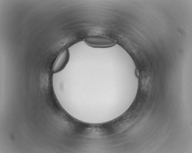 X0000114510211200911161302