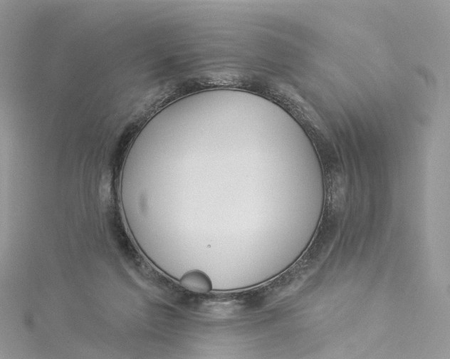 X0000114510213200911161302