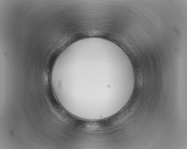 X0000114510214200911161302