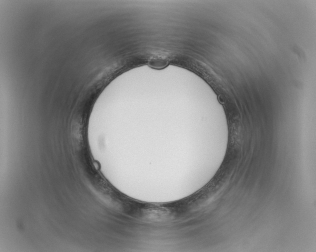 X0000114510215200911161302