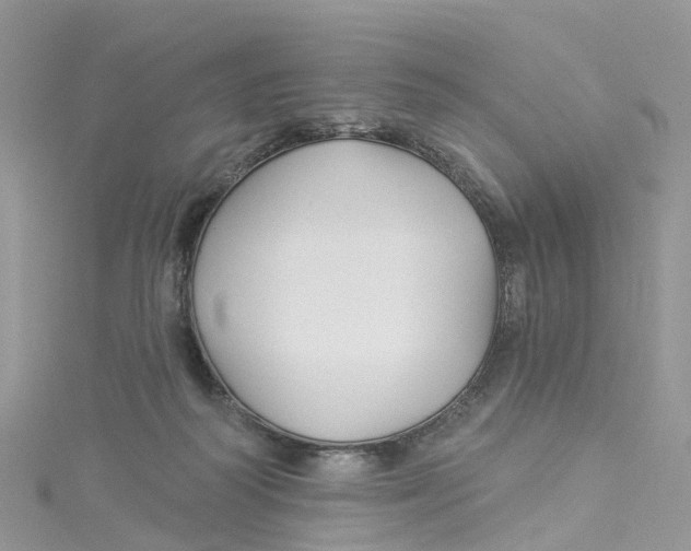 X0000114510218200911161302