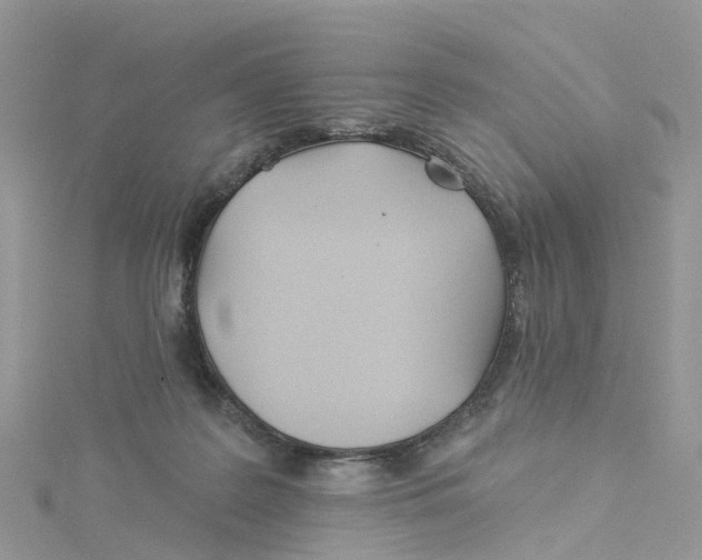 X0000114510219200911161302