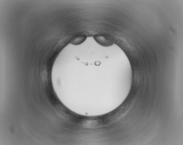 X0000114510220200911161302