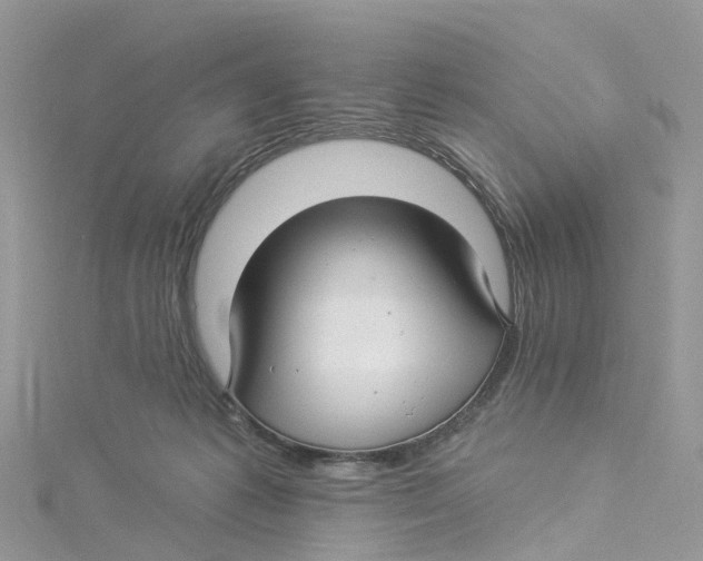 X0000114510221200911161302