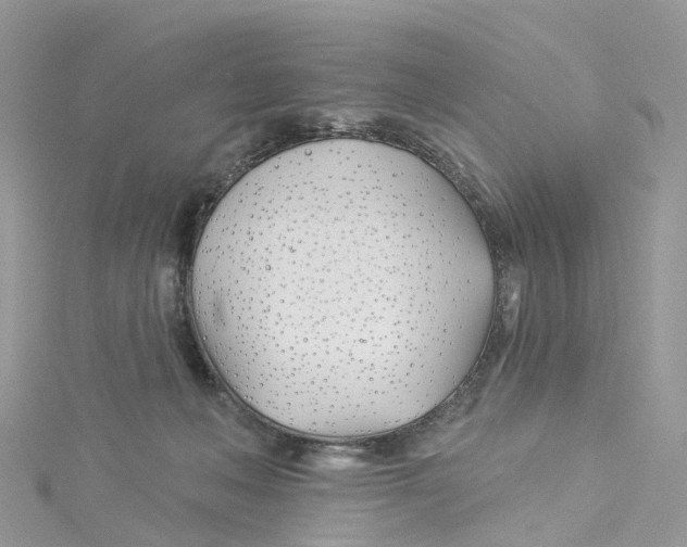 X0000114510222200911161302