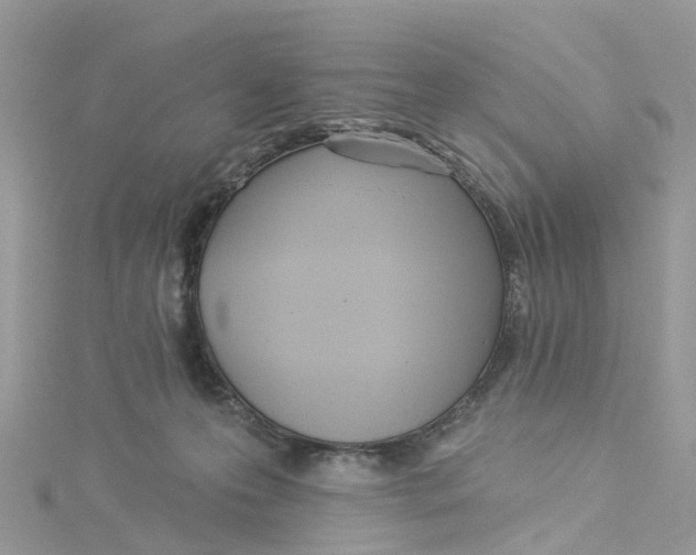 X0000114510223200911161302