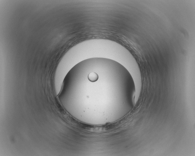 X0000114510225200911161302