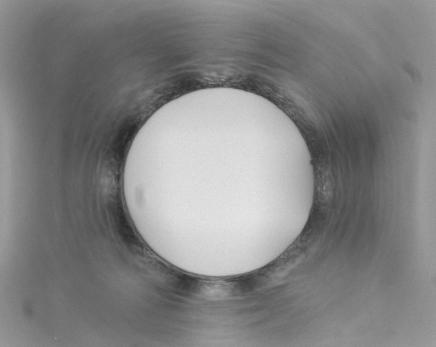 X0000114510226200911161302