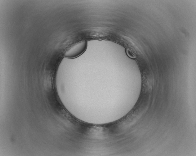 X0000114510227200911161302