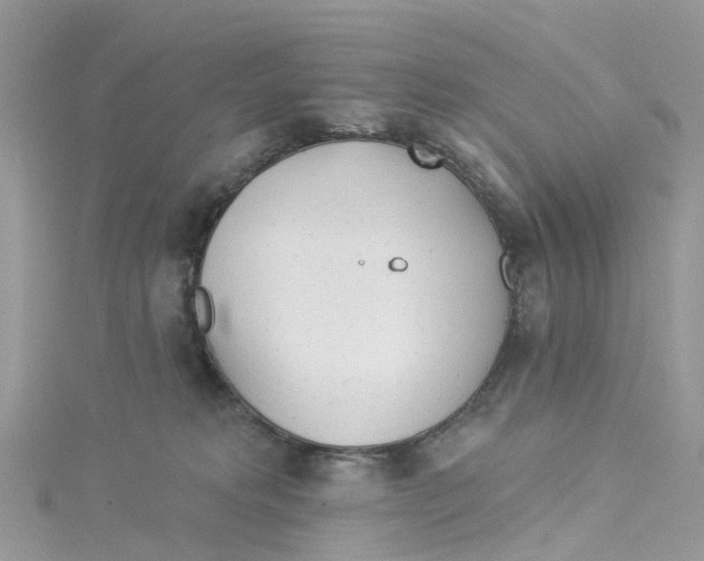 X0000114510229200911161301